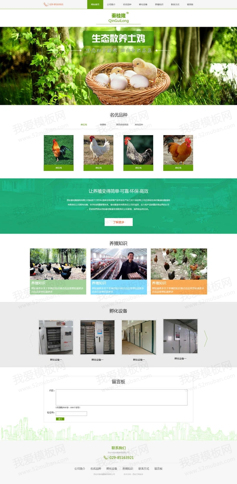 绿色扁平风格的养鸡养殖场企业设计模板psd下载